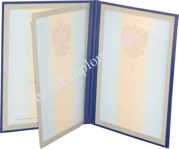 Диплом для иностранцев (НОВИНКА) 2014-2026